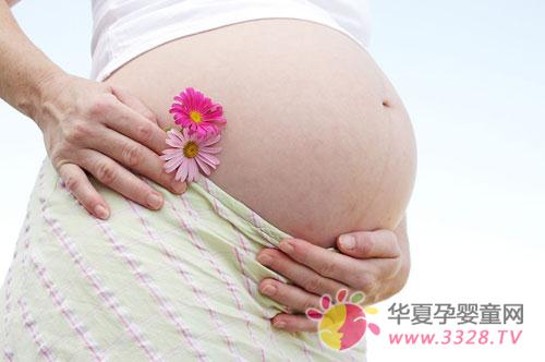日常生活防辐射食品 日常生活防辐射食品
