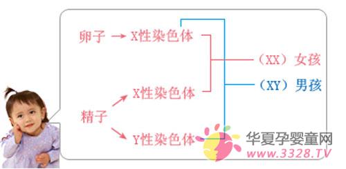 不出门就能测试怀孕方法 不出门就能测试怀孕方法