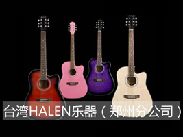 ̨��HALEN������֣�ݷֹ�˾��