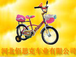 河北佰思克车业有限公司