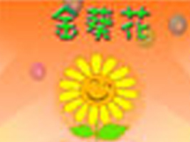 广州市金葵花童装服饰有限公司