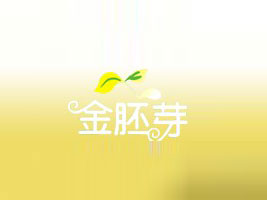 香港杰瑞实业集团有限公司