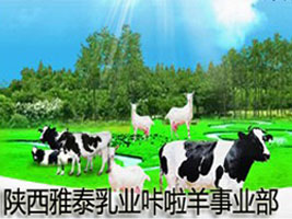 陕西雅泰乳业咔啦羊事业部