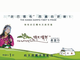 西藏坎巴嘎布卫生用品有限公司北京分公司