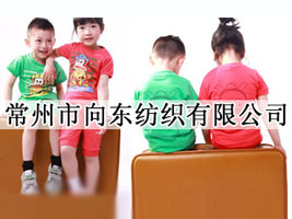 常州市向东纺织有限公司