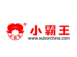 中山市小霸王教育电子有限公司