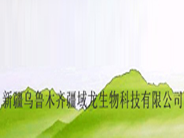 新疆乌鲁木齐疆域龙生物科技有限公司