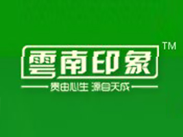 云南印象健康产业投资发展有限公司