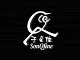 广州市润霖贸易有限公司