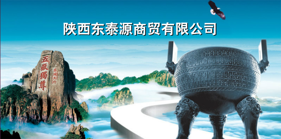 陕西东泰源商贸有限公司