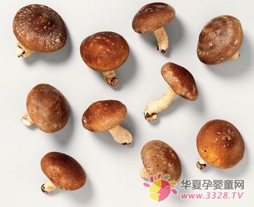 肉肉“棒棒糖”