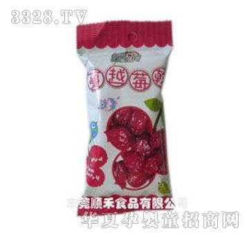 漾漾屋40g蔓越莓干