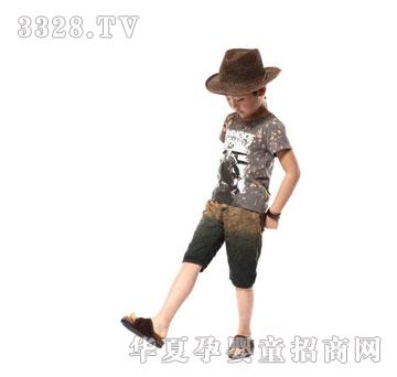 ݸ˧װ