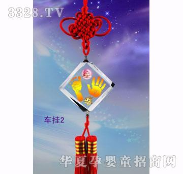 福宝宝车挂二