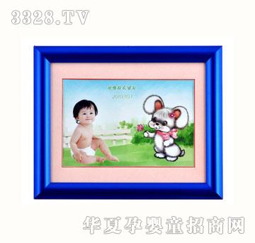 ѩ޻ZYX068̥ë
