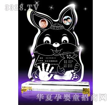 爱可心兔宝进财