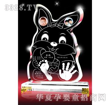 爱可心可爱兔兔