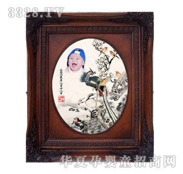 天禧百鸟朝凤胎毛绣