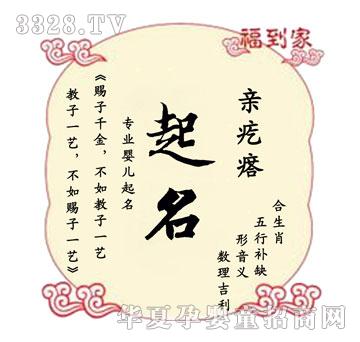 亲疙瘩宝宝起名