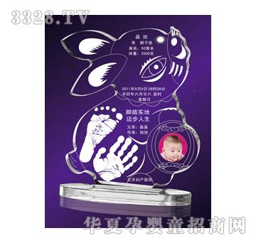金鼎展望水晶手足印