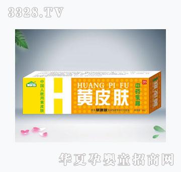珊瑚岛黄皮肤
