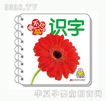 大苹果识字