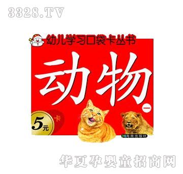 步科动物一