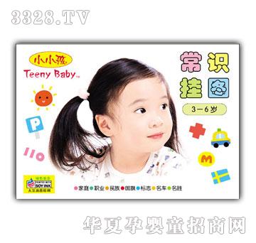 小小孩常识挂图