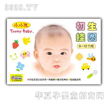 小小孩初生挂图