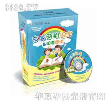 卓人右脑照相识字及映像阅读