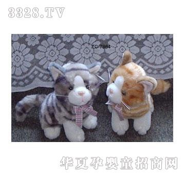 鑫憧lp18小猫