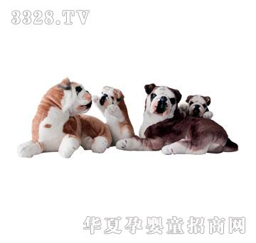 泰格母子斗牛犬