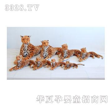 泰格侧卧猎豹