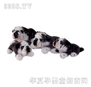 泰格卧棕斗牛犬