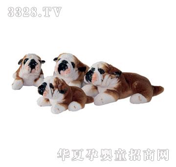 泰格卧黄斗牛犬