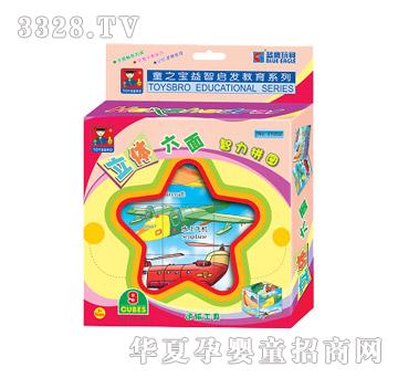 乐其立体六面9粒拼图31002