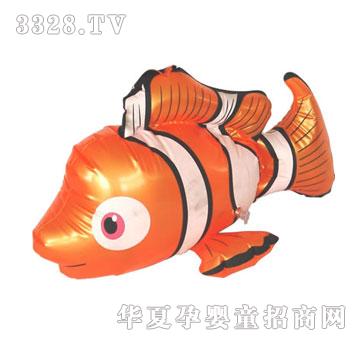 小天使NEMO-鱼