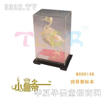 ԲԲθ걾MS90146