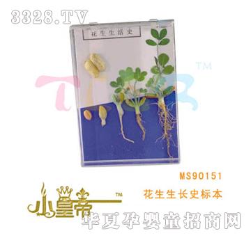 ԲԲλʷ걾MS90151