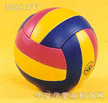 ߽Volleyball1