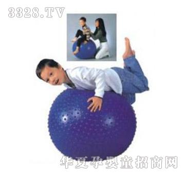 健士按摩球YC15811