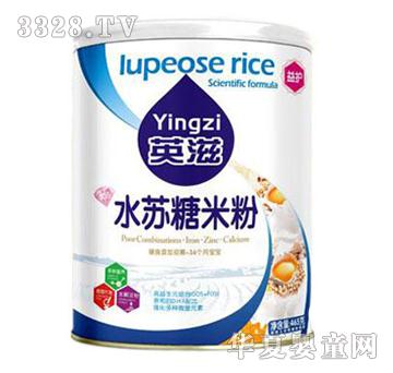 英滋水苏糖米粉听装