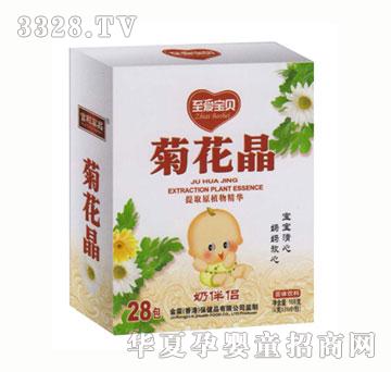 至爱宝贝菊花晶