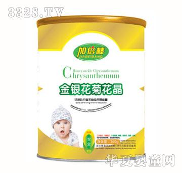加倍棒金银花菊花晶