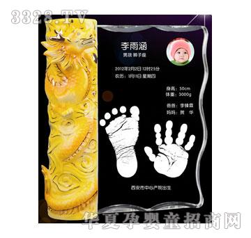 葆康祥龙献瑞