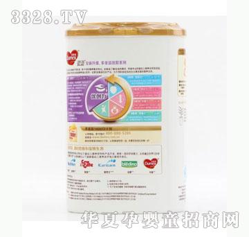 雅布力多美滋优阶1000G3段
