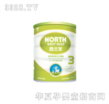 金牛西北羊金装800g3段
