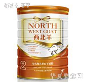 西北羊普装800克2段