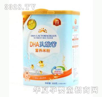 雅布力伊威DHA乳酸菌营养米粉