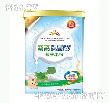 雅布力伊威蔬菜乳酸菌营养米粉
